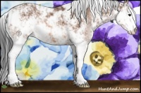 Horse Color:Bay Sabino 