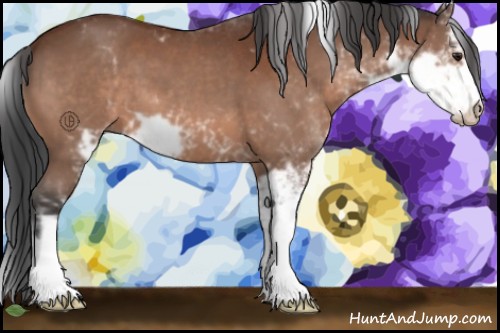 Horse Color:Brown Sabino