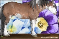 Horse Color:Brown Sabino