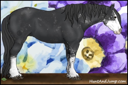 Horse Color:Black Sabino