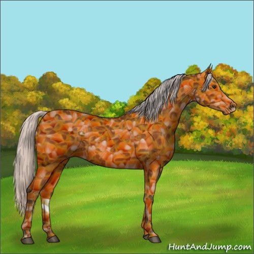 Horse Color:Silver Brown 