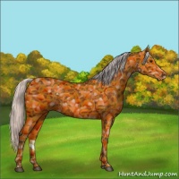 Horse Color:Silver Brown