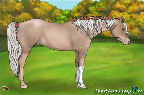 Horse Color:Liver Chestnut Pearl