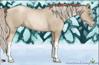Horse Color:Chocolate Palomino Pearl Mushroom Rabicano 