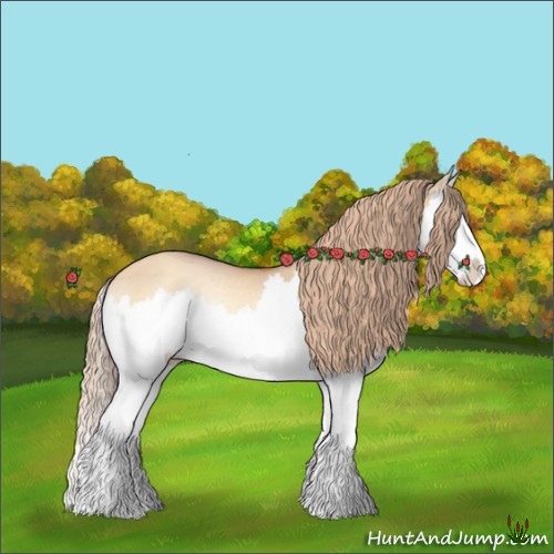 Horse Color:Gold Champagne Roan Onyx Splash Rabicano 