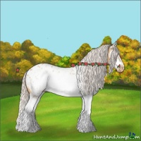 Horse Color:Silver Bay Dun Splash Frame Appaloosa Rabicano