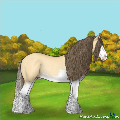 Horse Color:Amber Cream Champagne Dun Splash Rabicano 