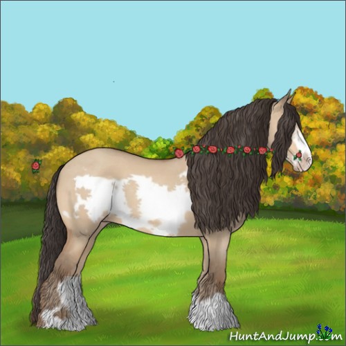 Horse Color:Amber Champagne Dun Frame 