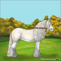 Horse Color:Gold Cream Champagne Dun Sabino Appaloosa Rabicano