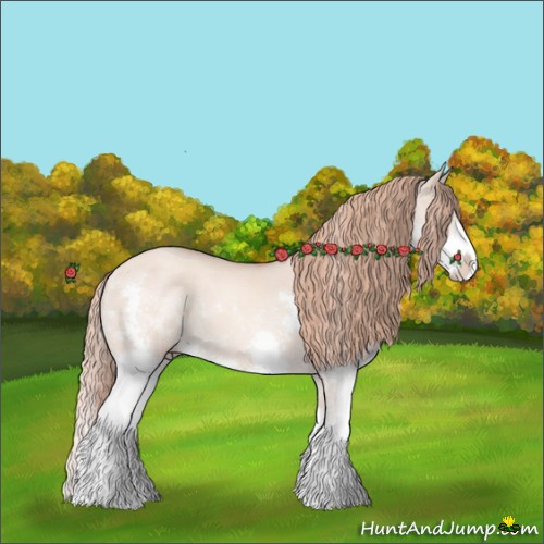 Horse Color:Gold Champagne Dun Sabino Splash Rabicano 