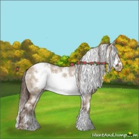Horse Color:White Spotted Liver Red Dun Sabino Frame Snowcap Brindle