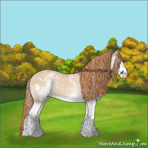 Horse Color:White Spotted Red Dun Splash Rabicano 