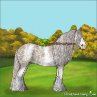 Horse Color:White Spotted Silver Grullo Rabicano