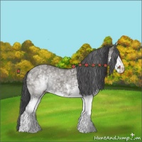 Horse Color:White Spotted Grullo Splash 
