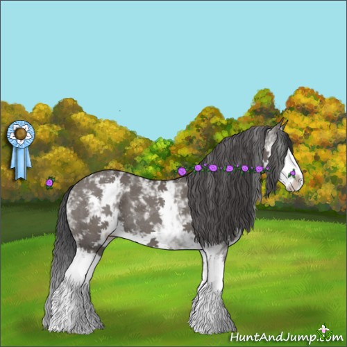 Horse Color:White Spotted Grullo Sabino Splash