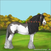 Horse Color:Grullo Splash Frame Rabicano