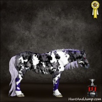 Horse Color:Watercolor White Spotted Silver Grullo Chinchilla Ice 