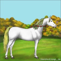 Horse Color:Gray Painted Chestnut 