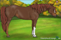 Horse Color:Gray Painted Chestnut 
