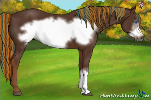 Horse Color:Gray Painted Chestnut Frame