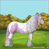 Horse Color:Watercolor Gold Champagne Tobiano 