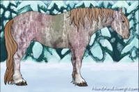 Horse Color:Liver Chestnut Ice 
