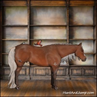 Horse Color:Silver Bay 