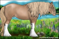 Horse Color:Liver Chestnut Pearl 