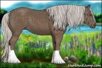 Horse Color:Silver Black 