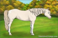 Horse Color:Perlino Tobiano 