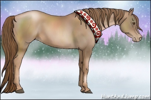 Horse Color:Liver Chestnut Pearl 