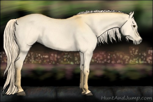 Horse Color:Palomino Dun 
