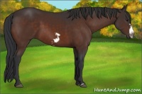 Horse Color:Brown Frame 