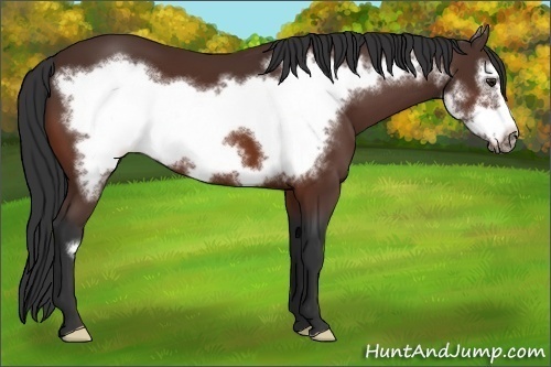 Horse Color:Brown Frame 