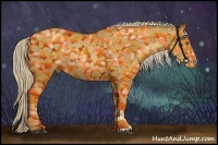 Horse Color:Liver Chestnut Pearl