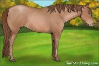 Horse Color:Brown Pearl
