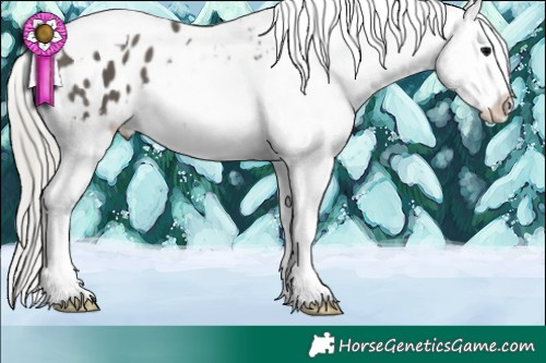 Horse Color:Silver Black Tobiano Blanket 