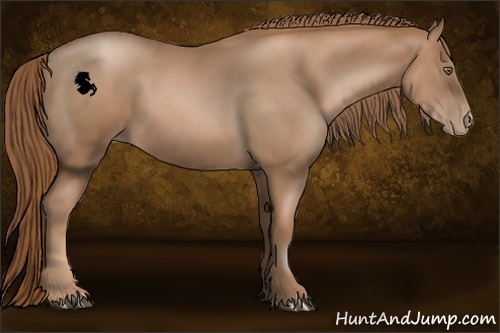 Horse Color:Liver Chestnut Pearl 