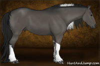 Horse Color:Gray Black Tobiano 