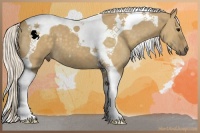 Horse Color:Silver Smoky Grullo Tobiano 