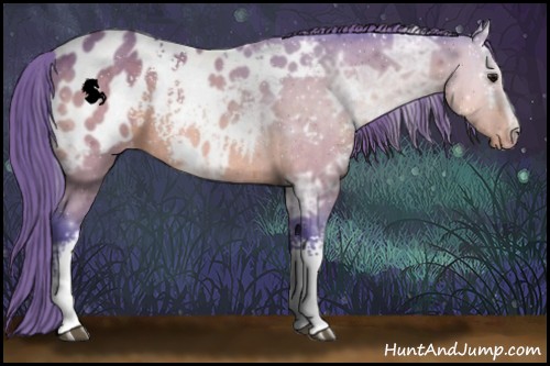 Horse Color:Watercolor White Spotted Buckskin Ice Appaloosa 