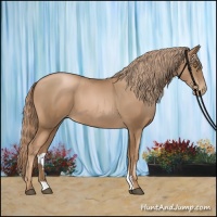 Horse Color:Liver Chestnut Pearl 