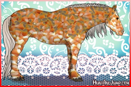 Horse Color:Silver Black Splash 