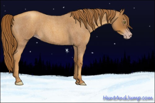 Horse Color:Gray Gold Champagne Roan 