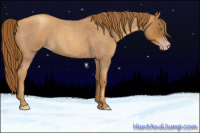 Horse Color:Gray Gold Champagne Roan 