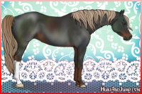 Horse Color:Gray Liver Chestnut