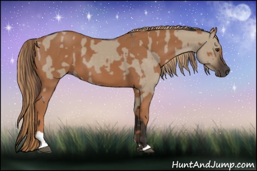 Horse Color:Liver Red Dun  and Chestnut 