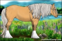 Horse Color:Silver Buckskin 