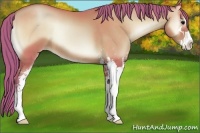 Horse Color:Watercolor Blue Onyx Pearl Sabino