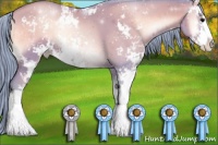 Horse Color:Watercolor Blue Onyx Pearl Sabino Rabicano 